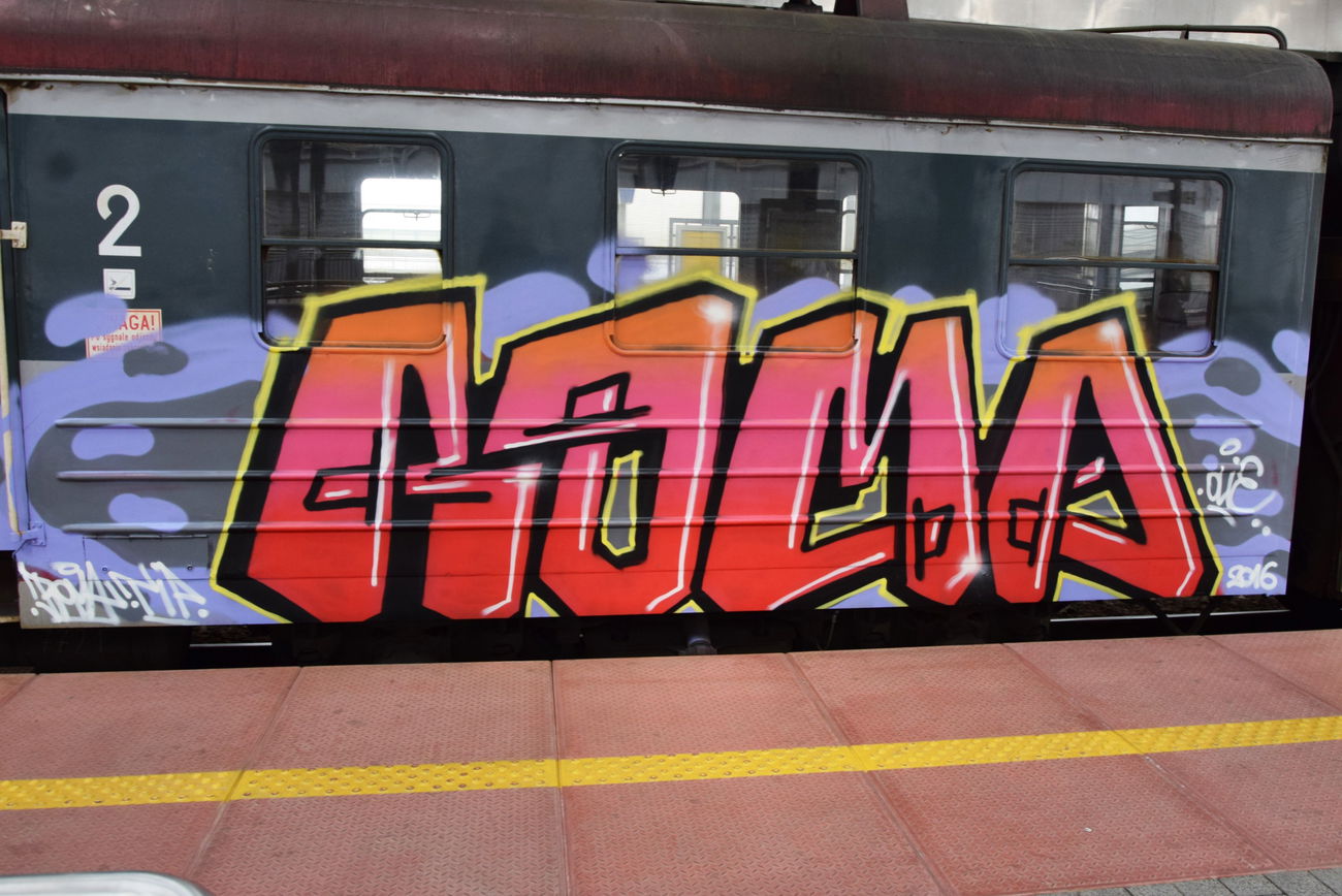 Graffiti Train - Photo by ROMANS (2016)