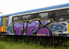 Graffiti Train - Photo by ROMANS (2016)