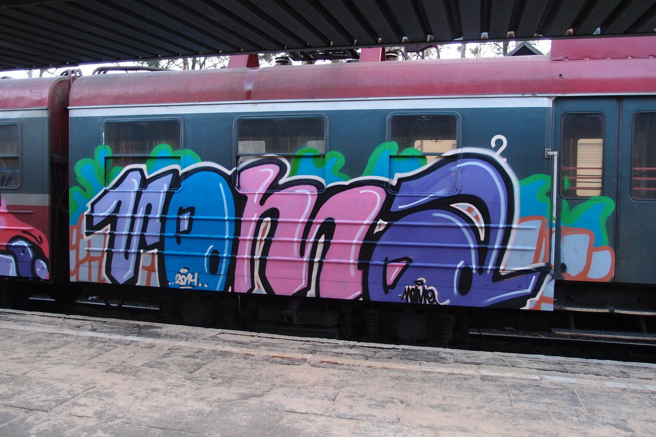 Graffiti Train - Photo by ROMANS (2014)