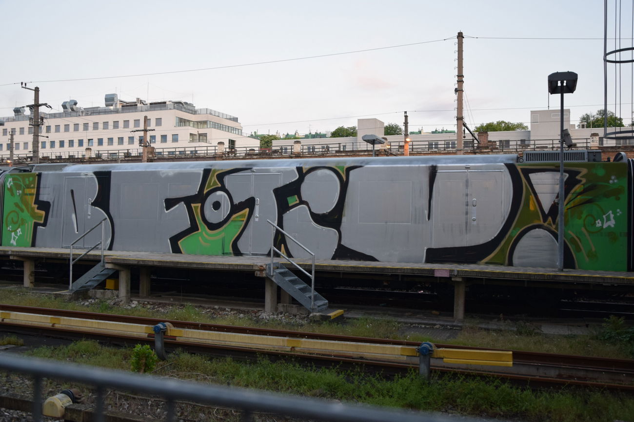 Graffiti Train - Photo by ROMANS (2016)