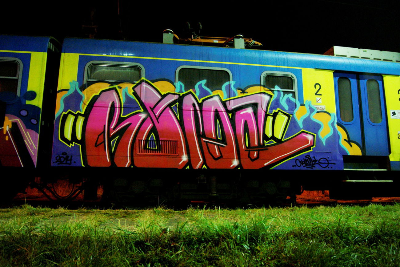 Graffiti Train - Photo by ROMANS - roma, tip, tip (2014)