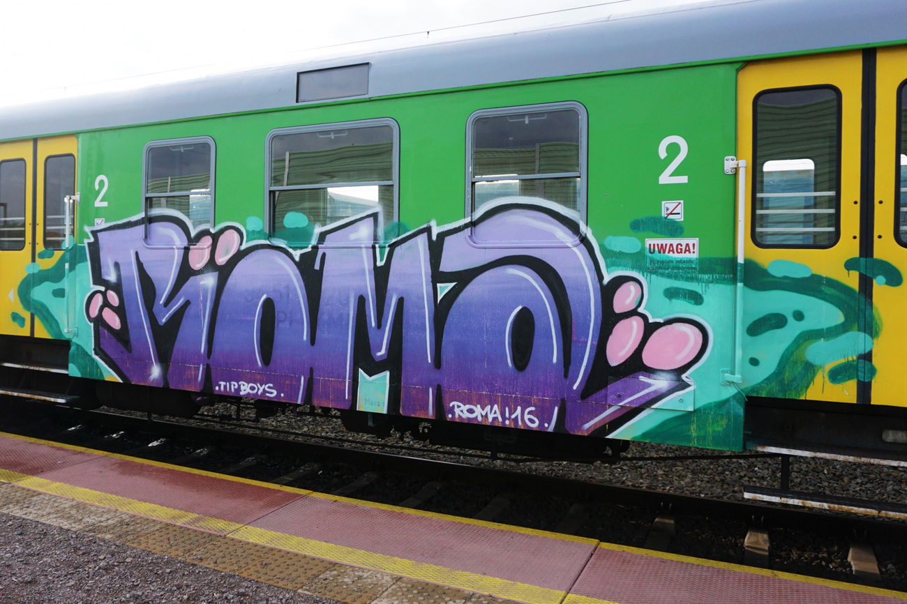 Graffiti Train - Photo by ROMANS (2016)