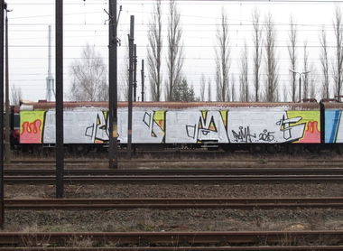 Graffiti Train - Photo by ROMANS - roma, tip, wholecar (2015)