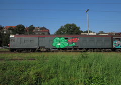 Graffiti Train - Photo by ROMANS (2016)