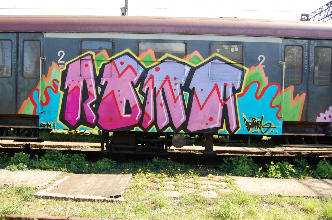 Graffiti Train - Photo by ROMANS - roma, maro, wdrzk (2014)