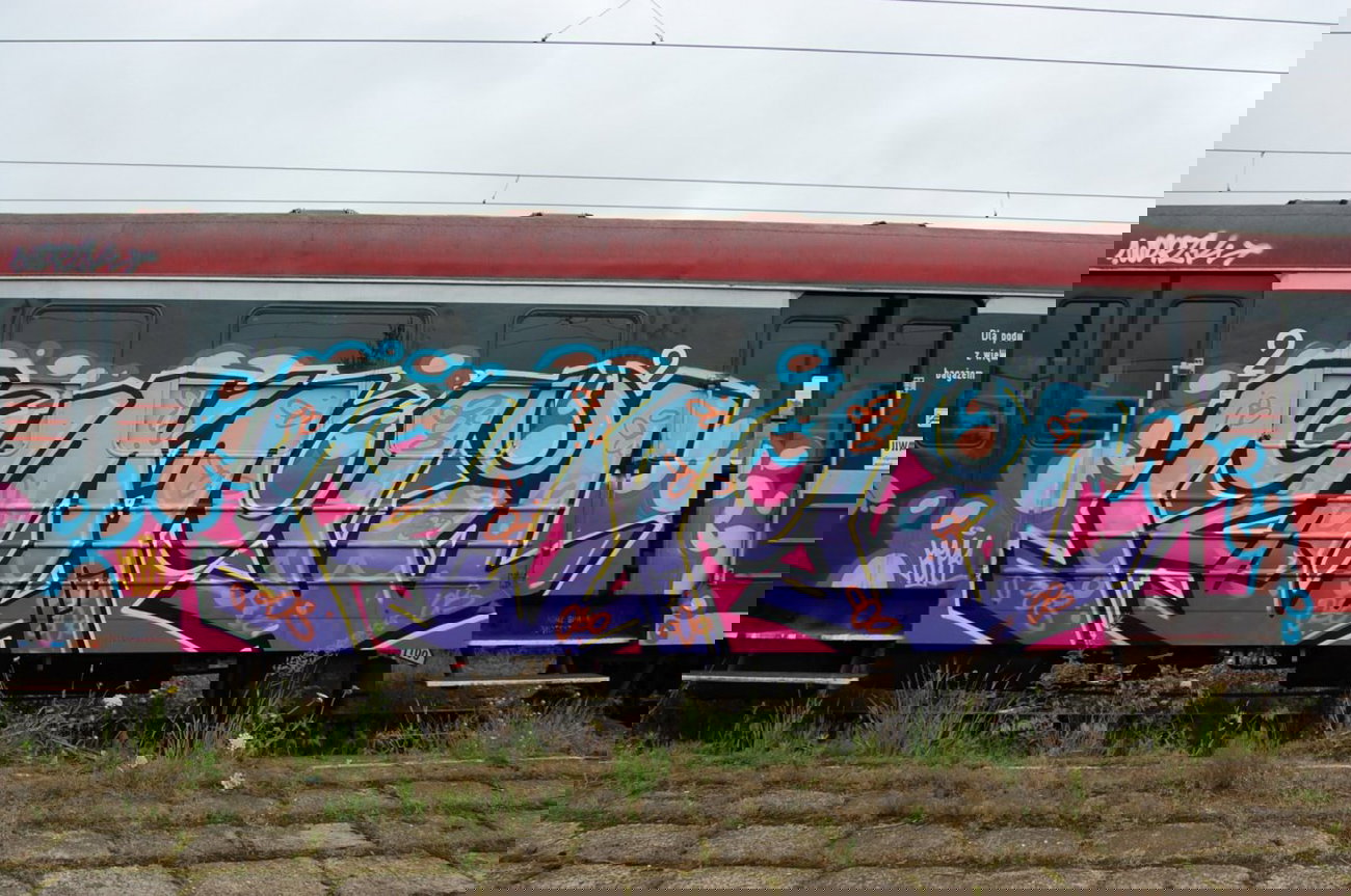 Graffiti Train - Photo by ROMANS - roma, maro, wdrzk (2013)