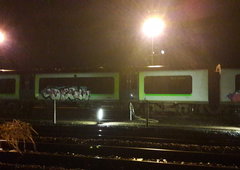 Photo #201920 by Bandito