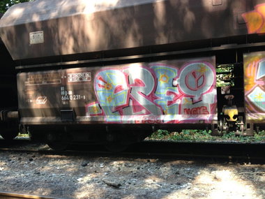 Graffiti Train in Essen - Photo by RORO