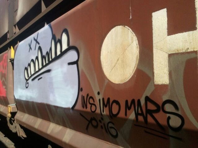 Graffiti Train - Photo by RORO (2013)