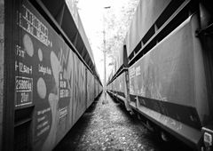 Photo #37890 by 19xllls