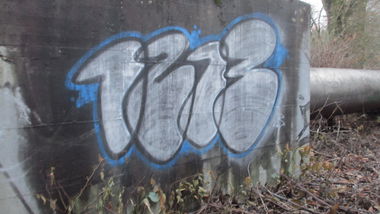 Graffiti Bombing - Photo by RORO (2013)