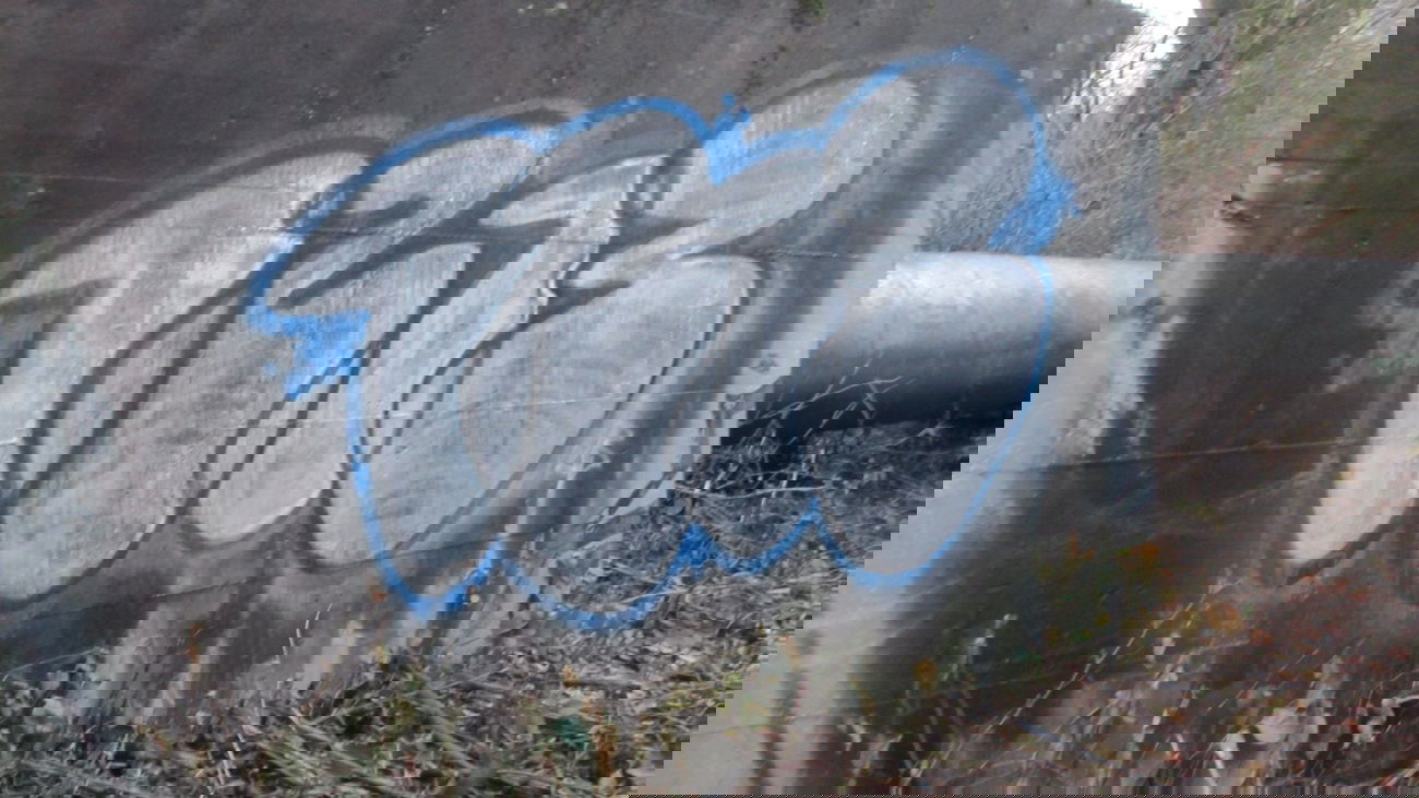 Graffiti Bombing - Photo by RORO (2013)