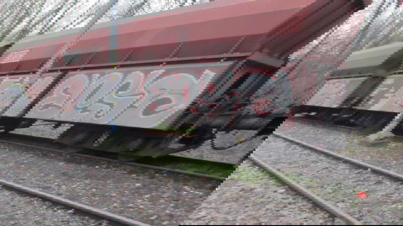 Graffiti Train - Photo by RORO (2013)