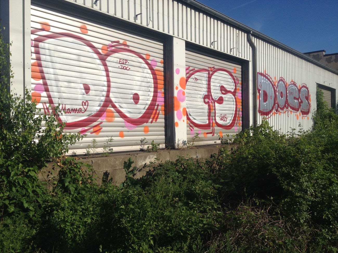 Graffiti Bombing - Photo by RORO