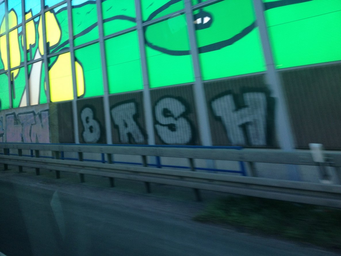 Graffiti Bombing - Photo by RORO - BASH, RIP, line (2015)