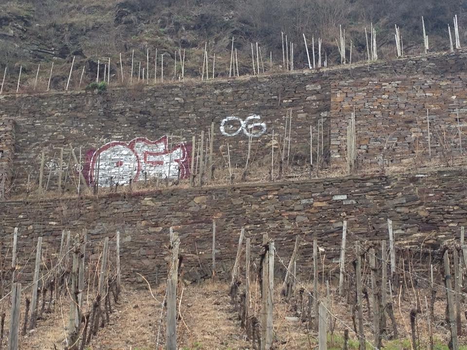 Graffiti Bombing in Koblenz - Photo by RORO - og, koblenz, chrome (2015)