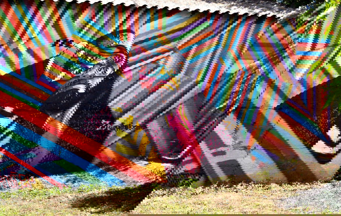 Graffiti Wall in Dnipropetrovs'k - Photo by ROY - zdesroy, Ukraine, roy (2012)