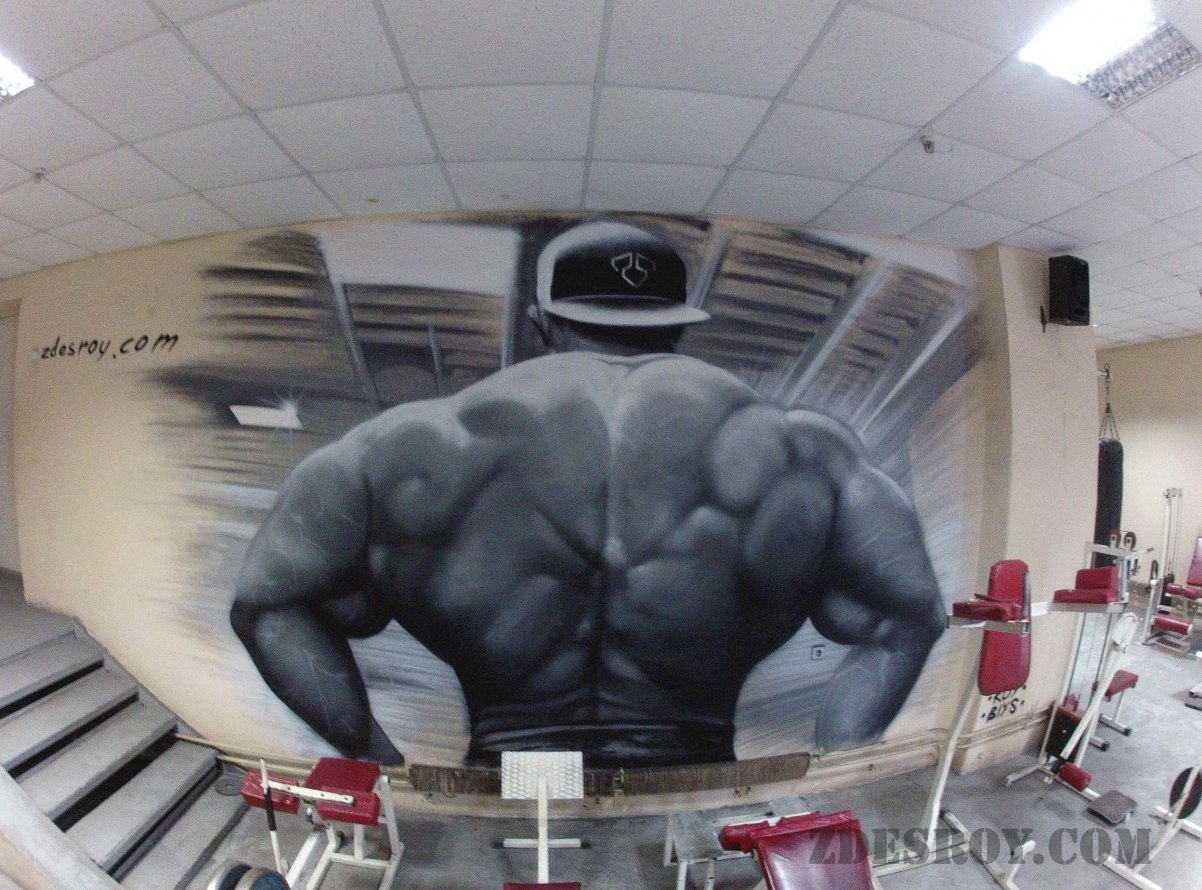Graffiti Wall in Dnipropetrovs'k - Photo by ROY - Roy, zdesroy, gym (2013)