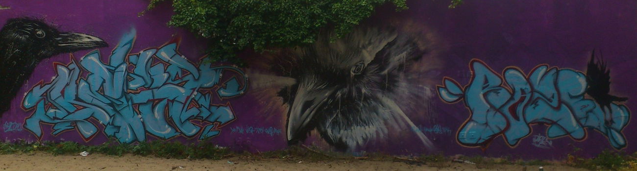 Graffiti Wall - Photo by ROZE - Keis, Roze (2013)