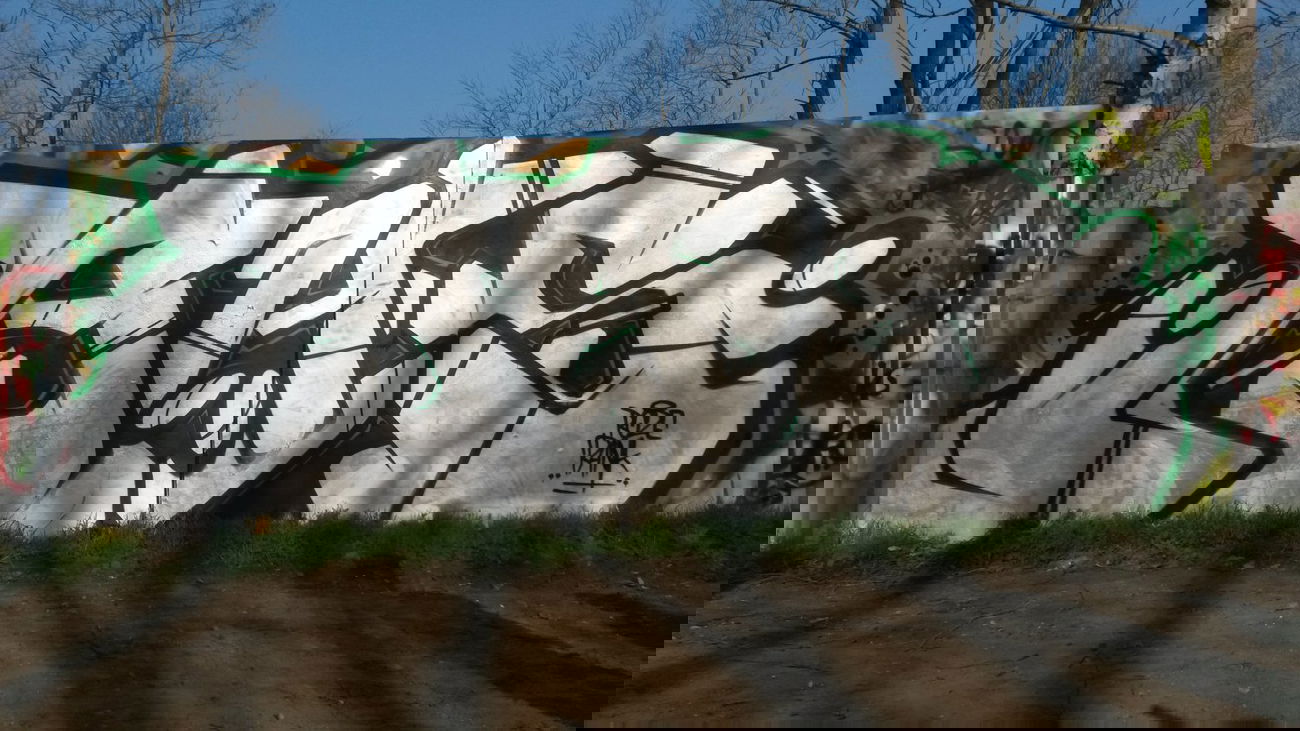 Graffiti Wall - Photo by ROZE - Roze, Rank, AHS (2014)