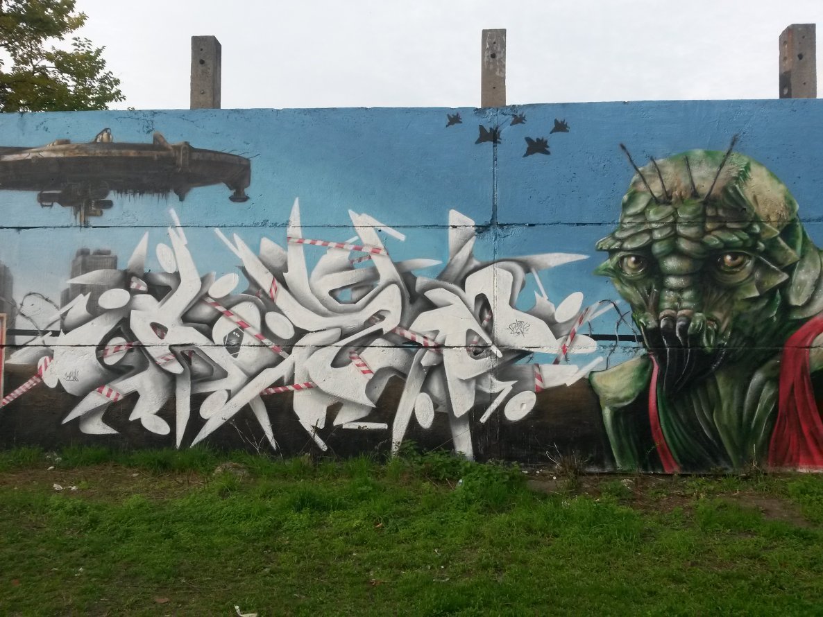 Graffiti Wall - Photo by ROZE - Roze (2014)