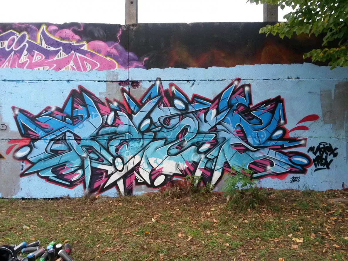 Graffiti Wall - Photo by ROZE - Roze (2014)