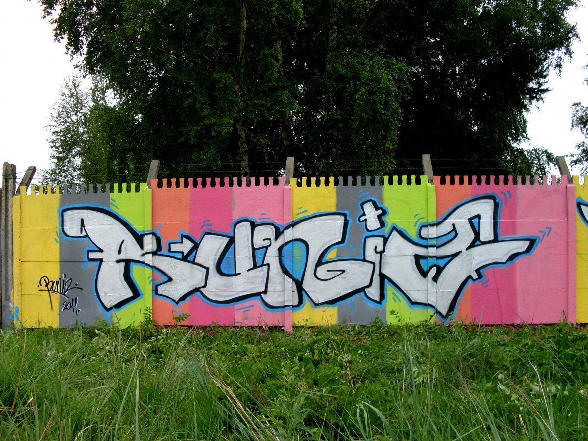 Graffiti Wall - Photo by RUNIZ - runiz, polnad (2011)