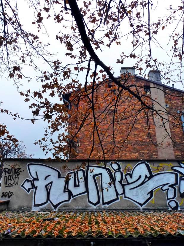 Graffiti Bombing - Photo by RUNIZ - runiz, poland (2012)