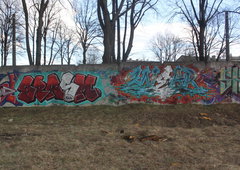Photo #91243 by Furs