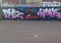 Photo #28554 by tampa911