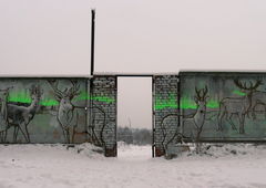 Photo #29325 by Artemio