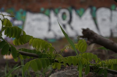 Graffiti Artwork - Photo by RainyDayz