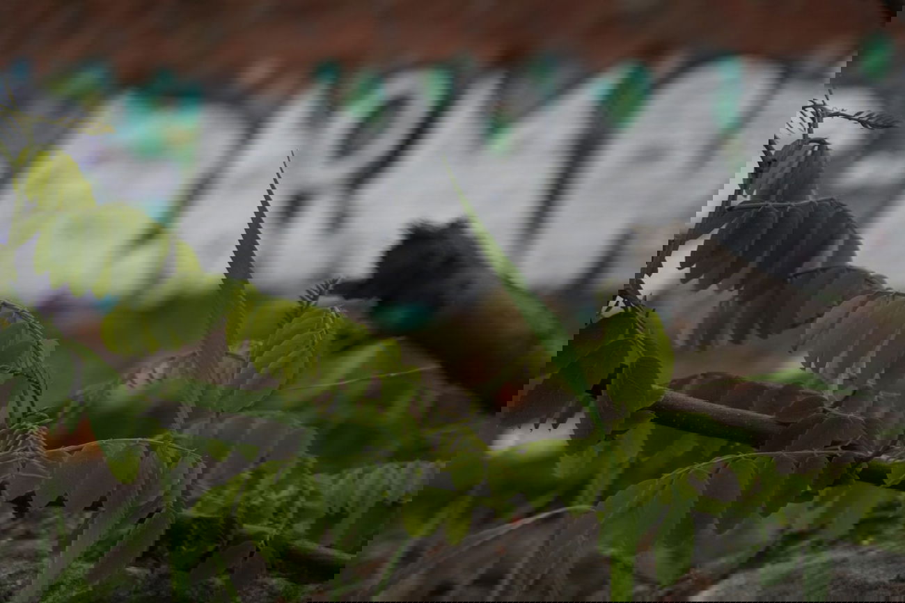 Graffiti Artwork - Photo by RainyDayz