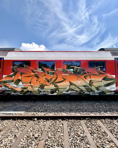 Graffiti Train - Photo by Raitz - raitz (2026)