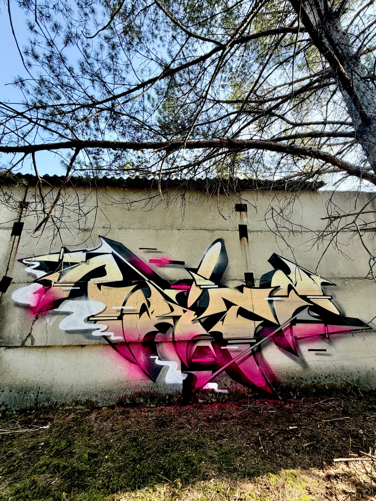 Graffiti Wall - Photo by Raitz - raitz (2026)