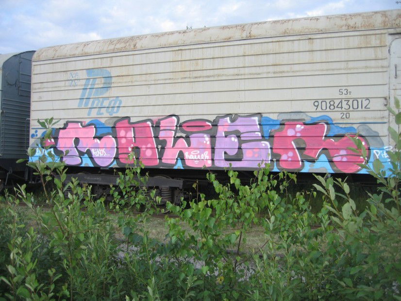 Graffiti Train - Photo by Raler