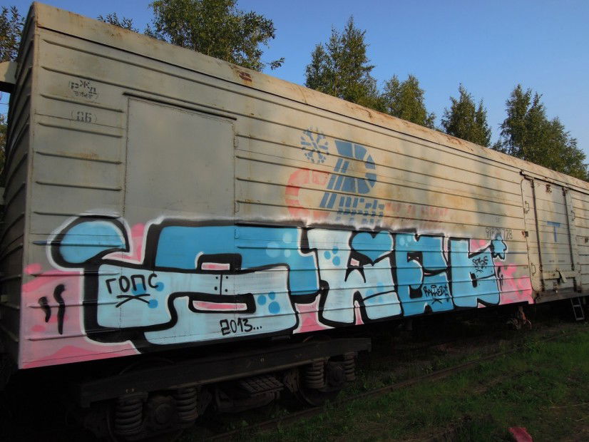 Graffiti Train - Photo by Raler