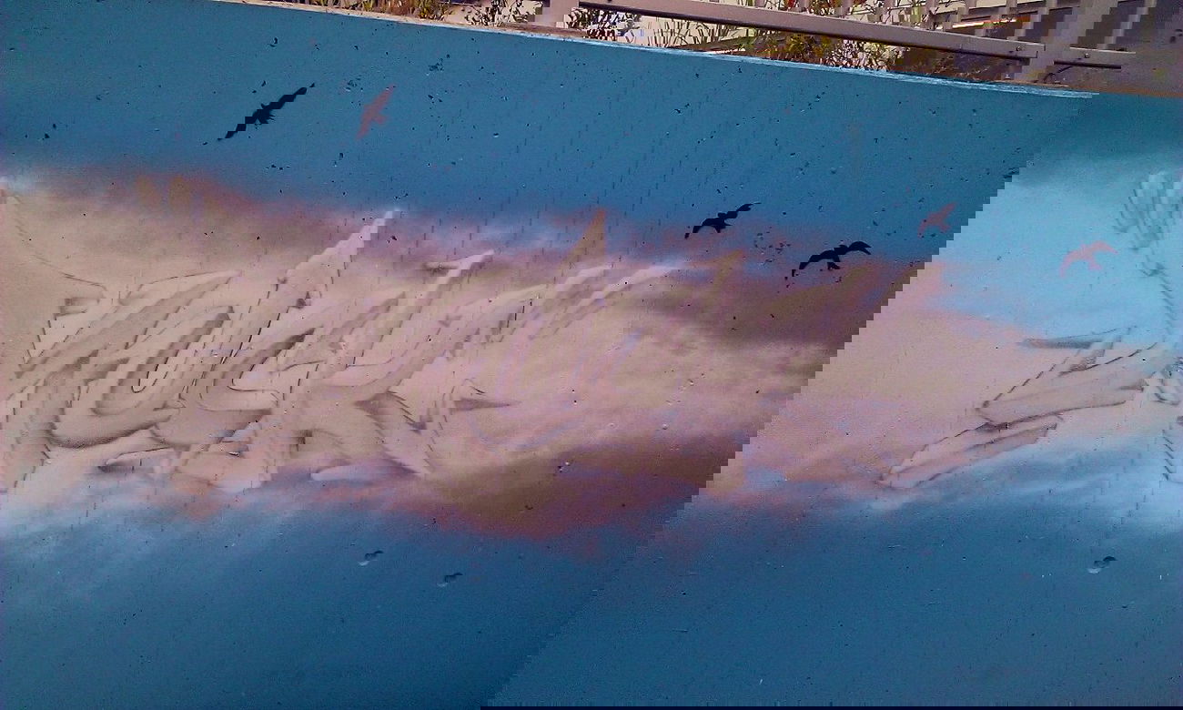 Graffiti Wall - Photo by Rames - muck