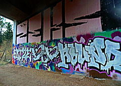 Photo #51234 by bocat