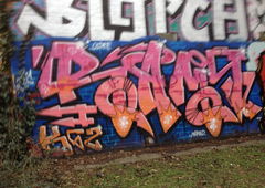 Photo #81776 by skroten