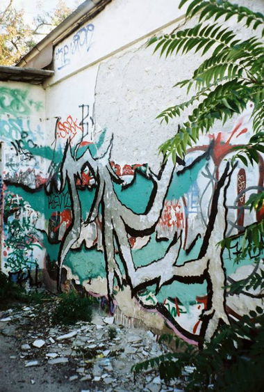 Graffiti Wall - Photo by Raphael - pk, poplavok, coconut (2012)