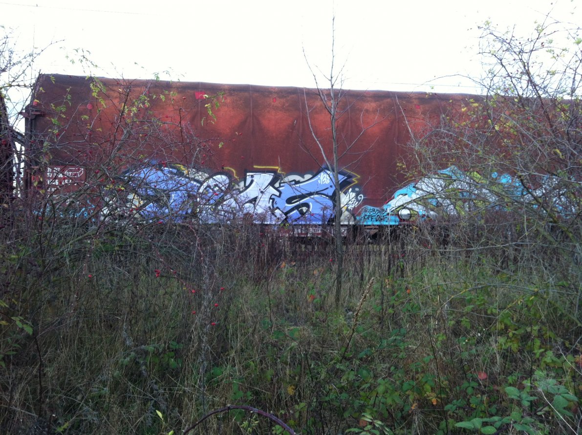Graffiti Train - Photo by Raptor