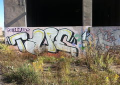 Photo #59734 by hauaufdiekacke