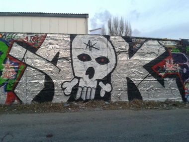 Graffiti Bombing - Photo by Raptor
