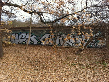 Graffiti Bombing - Photo by Raptor