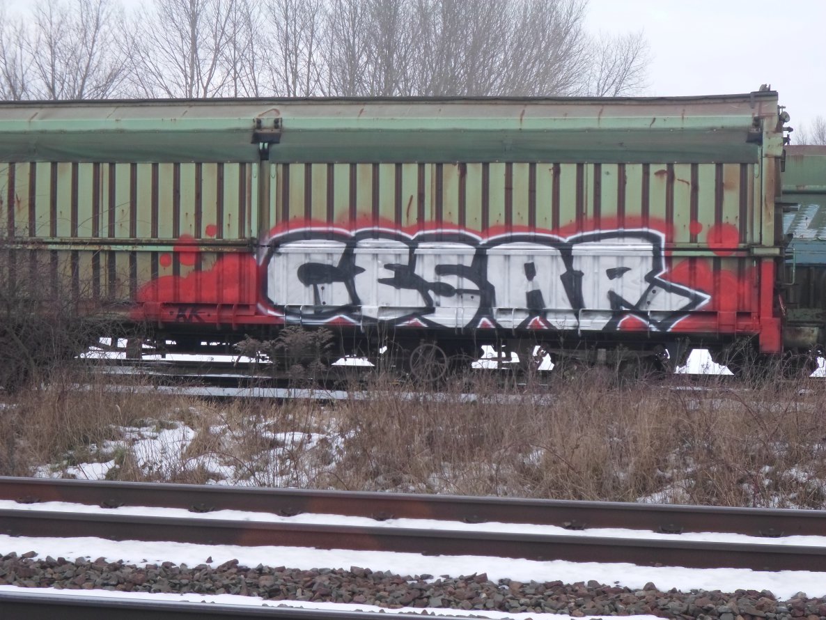 Graffiti Train - Photo by Raptor