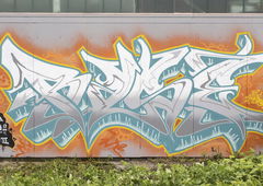 Photo #156966 by RISKOone