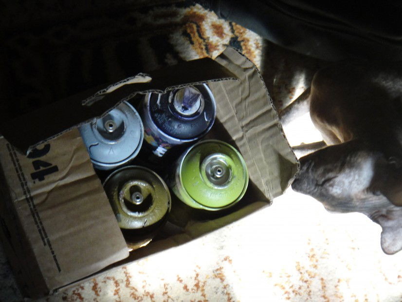 Graffiti Artwork - Photo by Rast