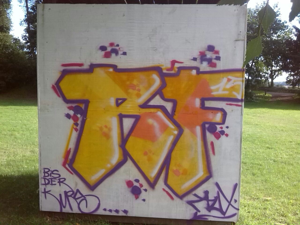 Graffiti Bombing - Photo by Rastrf - rast, rf, auks