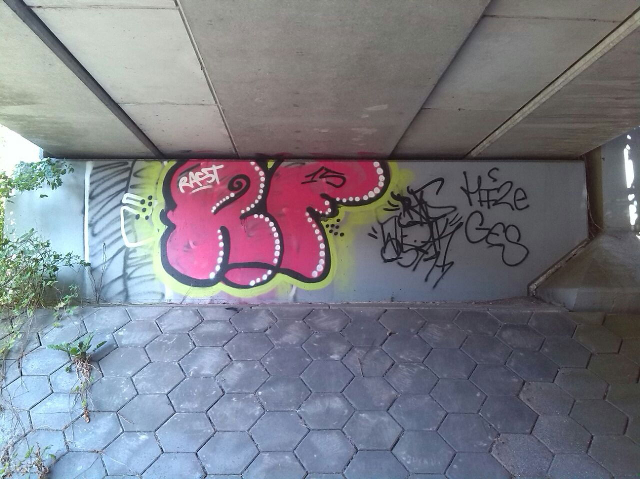 Graffiti Bombing - Photo by Rastrf - rast, rf, auks